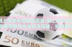 网上世界杯彩票在哪里-网上海外足球赛事观赛与合法投注探秘，如何理性参与世界杯彩票娱乐