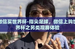 微信买世界杯-指尖足球，微信上购世界杯之另类观赛体验