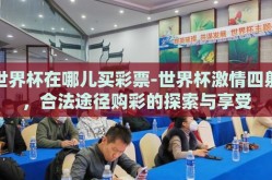 世界杯在哪儿买彩票-世界杯激情四射，合法途径购彩的探索与享受