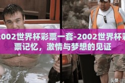 2002世界杯彩票一套-2002世界杯彩票记忆，激情与梦想的见证