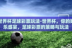 世界杯足球彩票玩法-世界杯，你的娱乐盛宴，足球彩票的策略与玩法