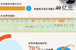 看世界杯买彩票-激情与机遇，看世界杯的另一面——买彩票的乐趣与风险考量