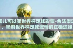 哪儿可以买世界杯足球彩票-合法渠道，畅游世界杯足球激情的正确途径