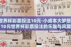 世界杯彩票投注10元-小成本大梦想，10元世界杯彩票投注的乐趣与风趣