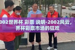 2002世界杯 彩票 说明-2002风云，世界杯彩票市场的狂欢