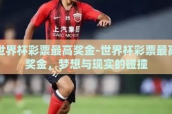 世界杯彩票最高奖金-世界杯彩票最高奖金，梦想与现实的碰撞