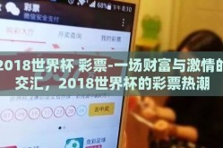 2018世界杯 彩票-一场财富与激情的交汇，2018世界杯的彩票热潮