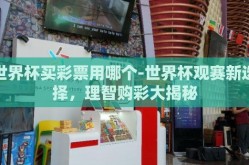 世界杯买彩票用哪个-世界杯观赛新选择，理智购彩大揭秘