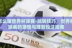 怎么赌世界杯球赛-玩转技巧，世界杯球赛的激情与理智投注指南
