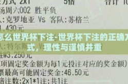 怎么世界杯下注-世界杯下注的正确方式，理性与谨慎并重