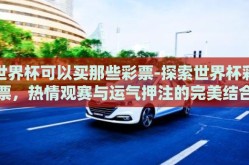 世界杯可以买那些彩票-探索世界杯彩票，热情观赛与运气押注的完美结合