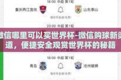 微信哪里可以买世界杯-微信购球新渠道，便捷安全观赏世界杯的秘籍