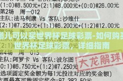 哪儿可以买世界杯足球彩票-如何购买世界杯足球彩票，详细指南