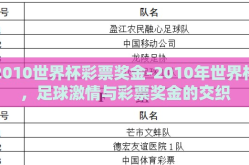 2010世界杯彩票奖金-2010年世界杯，足球激情与彩票奖金的交织
