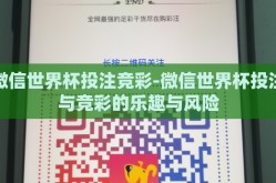 微信世界杯投注竞彩-微信世界杯投注与竞彩的乐趣与风险