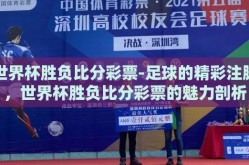 世界杯胜负比分彩票-足球的精彩注脚，世界杯胜负比分彩票的魅力剖析