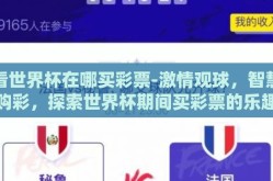 看世界杯在哪买彩票-激情观球，智慧购彩，探索世界杯期间买彩票的乐趣与攻略