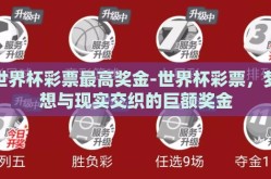 世界杯彩票最高奖金-世界杯彩票，梦想与现实交织的巨额奖金