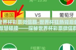 世界杯彩票微信群-世界杯狂热背后的智慧碰撞——探秘世界杯彩票微信群