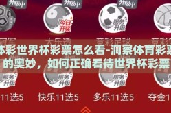 体彩世界杯彩票怎么看-洞察体育彩票的奥妙，如何正确看待世界杯彩票