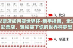 彩票店如何买世界杯-新手指南，走进彩票店，轻松买下你的世界杯梦想