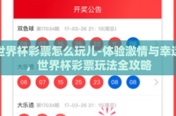 世界杯彩票怎么玩儿-体验激情与幸运，世界杯彩票玩法全攻略