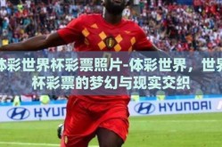 体彩世界杯彩票照片-体彩世界，世界杯彩票的梦幻与现实交织