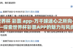 世界杯 彩票 app-万千球迷心之所向——探索世界杯彩票APP的魅力与风尚