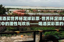 喝酒买世界杯足球彩票-世界杯足球盛宴中的理性与欢乐——喝酒买彩票的微妙平衡