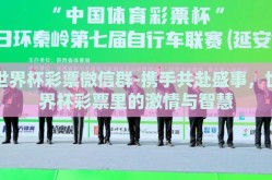 世界杯彩票微信群-携手共赴盛事，世界杯彩票里的激情与智慧