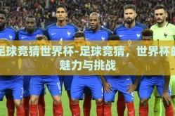 足球竞猜世界杯-足球竞猜，世界杯的魅力与挑战