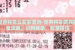 世界杯怎么买彩票的-世界杯彩票购买全攻略，识辨赛果，智慧投注
