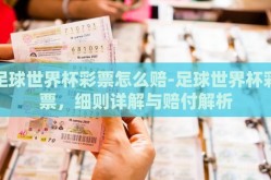 足球世界杯彩票怎么赔-足球世界杯彩票，细则详解与赔付解析