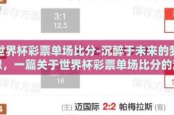 世界杯彩票单场比分-沉醉于未来的梦想，一篇关于世界杯彩票单场比分的深度体验与技巧分享