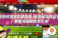 世界杯足球彩票购买-世界杯足球彩票，激情与策略的交汇点