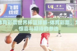 体育彩票世界杯篮球赛-体育彩票，为惊喜与期待的参选