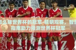 怎么赌世界杯的冠军-精明观赛，智慧指南助力预测世界杯冠军