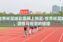 世界杯足球彩票网上购买-世界杯足球，激情与智慧的碰撞