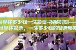 世界杯多少钱一注彩票-揭秘时刻——世界杯彩票，一注多少钱的背后秘密