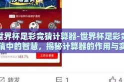 世界杯足彩竞猜计算器-世界杯足彩竞猜中的智慧，揭秘计算器的作用与实际应用