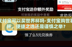 支付宝可以买世界杯吗-支付宝购世界杯，便捷之选还是谨慎之举？