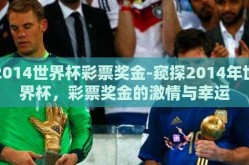 2014世界杯彩票奖金-窥探2014年世界杯，彩票奖金的激情与幸运