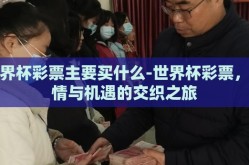 世界杯彩票主要买什么-世界杯彩票，热情与机遇的交织之旅