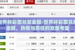世界杯彩票兑奖金额-世界杯彩票兑奖金额，热情与责任的双重考量