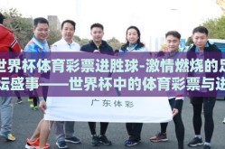 世界杯体育彩票进胜球-激情燃烧的足坛盛事——世界杯中的体育彩票与进胜球探讨