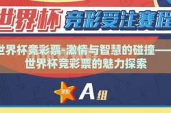 世界杯竞彩票-激情与智慧的碰撞——世界杯竞彩票的魅力探索