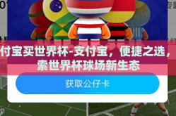 支付宝买世界杯-支付宝，便捷之选，探索世界杯球场新生态