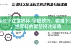 怎么下注世界杯-掌握技巧，精准下注，世界杯的智慧投注策略