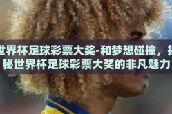 世界杯足球彩票大奖-和梦想碰撞，揭秘世界杯足球彩票大奖的非凡魅力