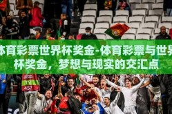 体育彩票世界杯奖金-体育彩票与世界杯奖金，梦想与现实的交汇点